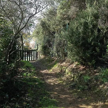 Il Nettare *