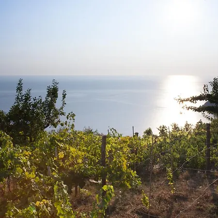 Farm stay Il Nettare *